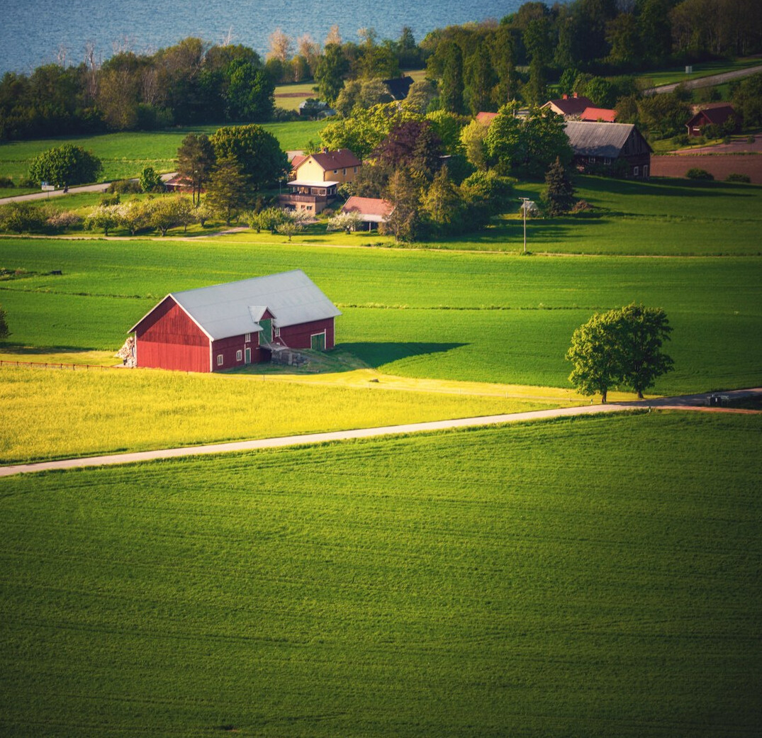 rural insurance consultation